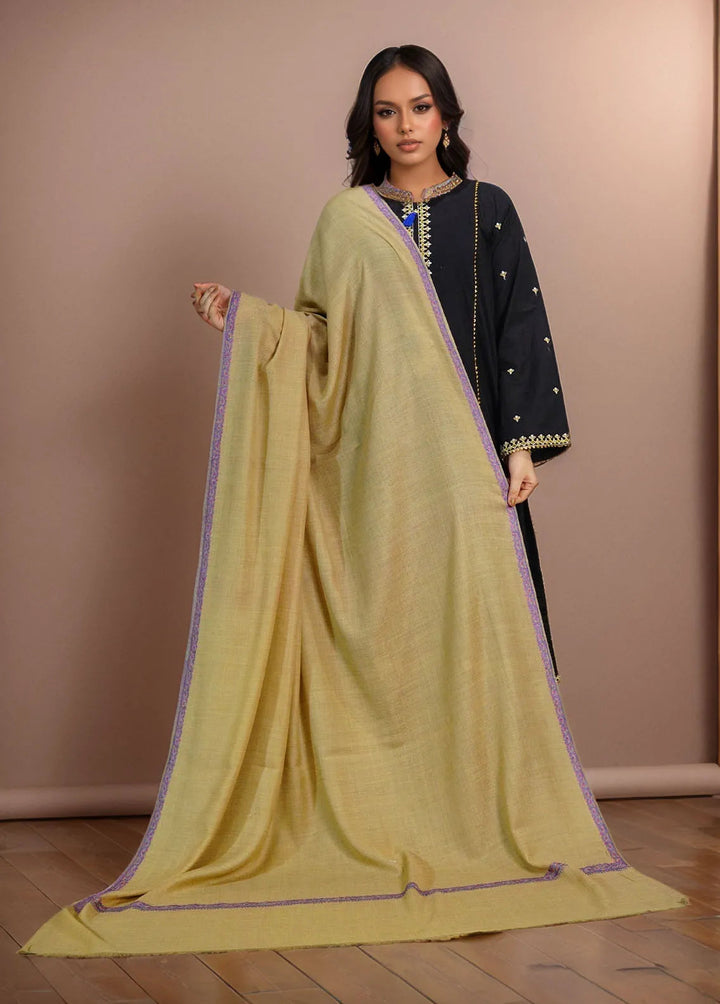 Sanaulla Exclusive Range Pashmina Shawl MAMA D-6 Brown 2 - Winter Collection