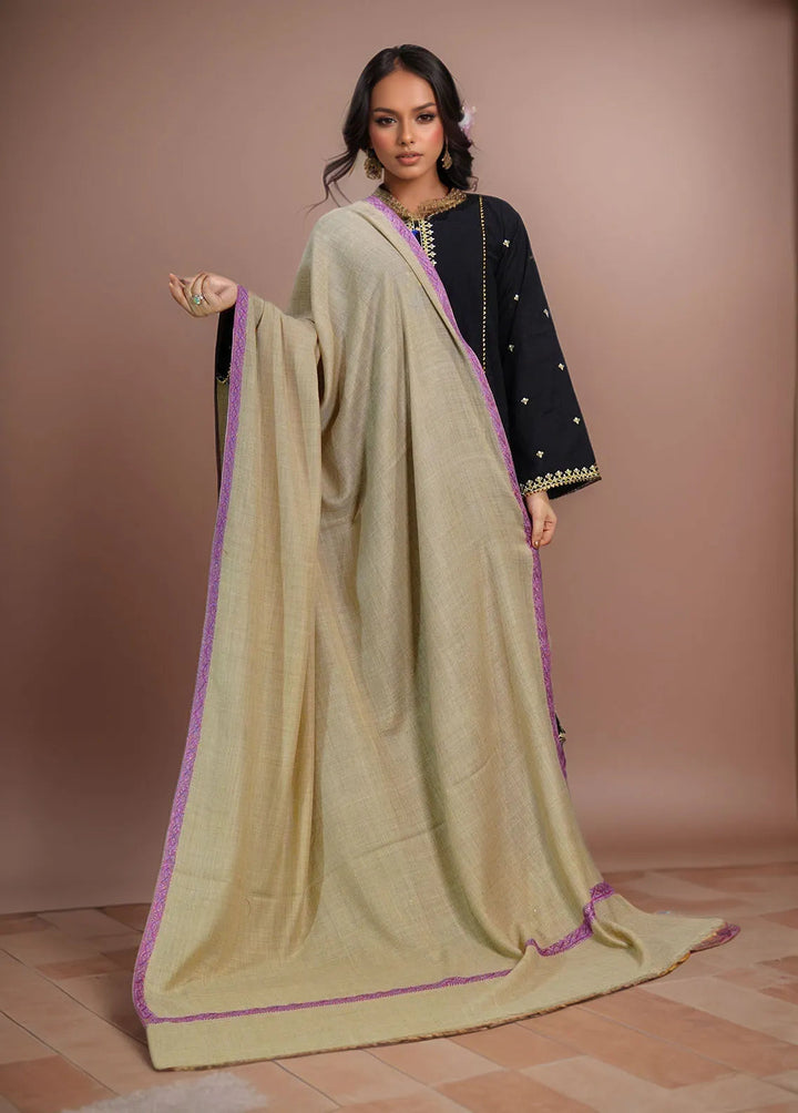 Sanaulla Exclusive Range Pashmina Shawl MAMA D-6 Brown 4 - Winter Collection