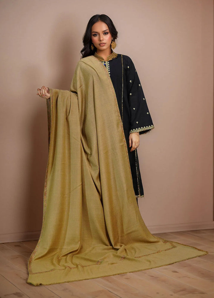 Sanaulla Exclusive Range Pashmina Shawl MAMA D-6 Dark Brown - Winter Collection