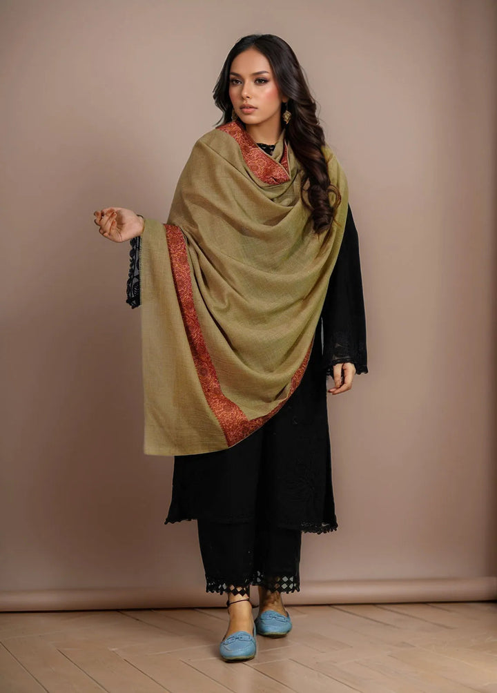 Sanaulla Exclusive Range Pashmina Shawl MAMA D-8 Dark Brown - Winter Collection