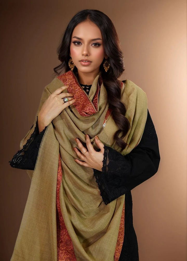 Sanaulla Exclusive Range Pashmina Shawl MAMA D-8 Dark Brown - Winter Collection