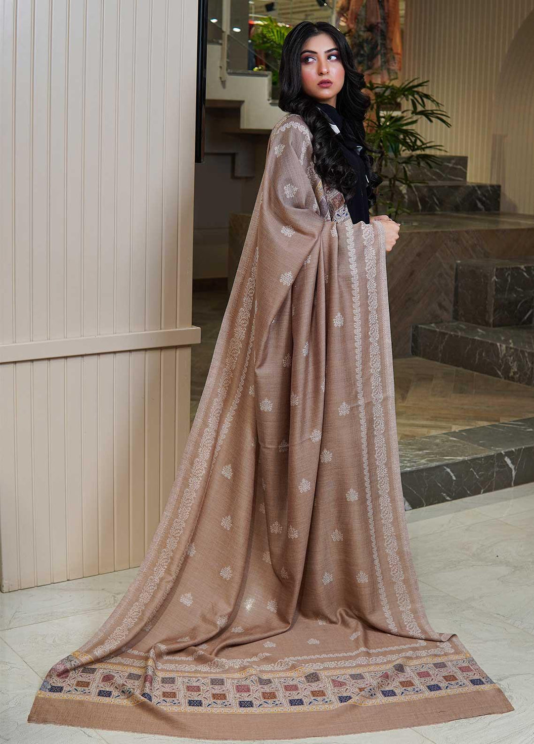 Sanaulla Exclusive Range  Pashmina  Shawls MAMA-07 Brown-3 - Pashmina Shawls