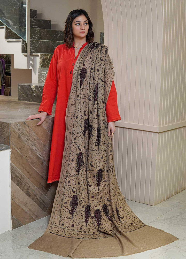 Sanaulla Exclusive Range  Pashmina  Shawls AKP-20 Beige 01 - Pashmina Shawls