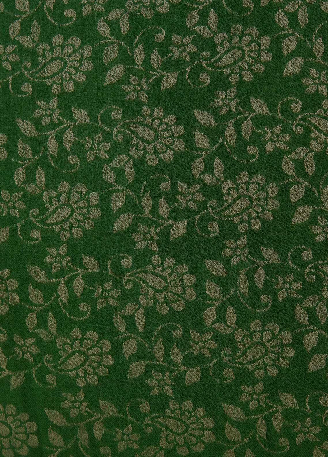 Sanaulla Exclusive Range  Pashmina  Shawls MAMA-35 Green-1 - Pashmina Shawls