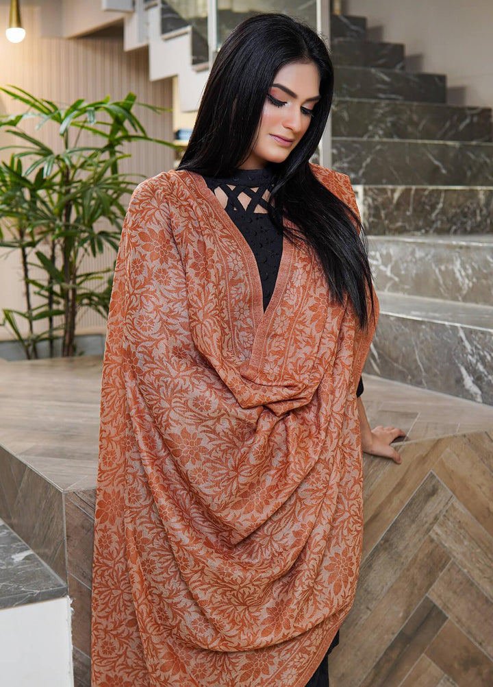 Sanaulla Exclusive Range  Pashmina  Shawls MAMA-35 Brown-4 - Pashmina Shawls