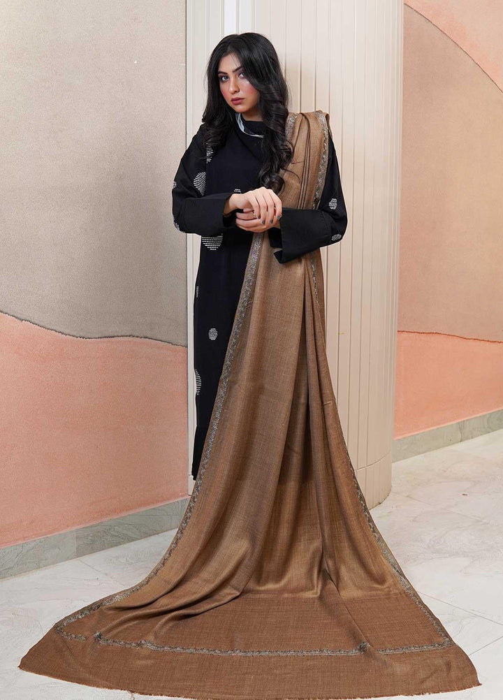 Sanaulla Exclusive Range  Pashmina  Shawls Zarri Hashey A Sp C AD KPS-31 Brown02 - Pashmina Shawls