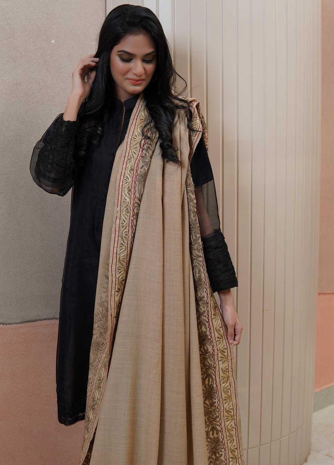 Sanaulla Exclusive Range  Pashmina  Shawls Naliki Tissue Boder KPS-01 Brown - Pashmina Shawls