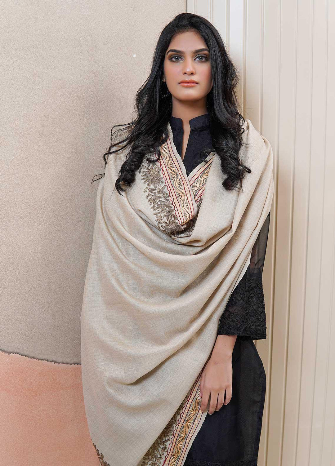 Sanaulla Exclusive Range  Pashmina  Shawls Naliki Tissue Boder KPS-01 Fawn - Pashmina Shawls