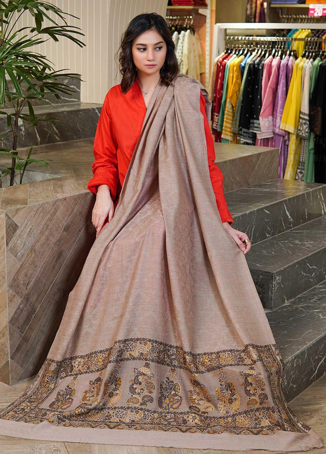 Sanaulla Exclusive Range  Pashmina  Shawls MAMA-09 Beige-2 - Pashmina Shawls