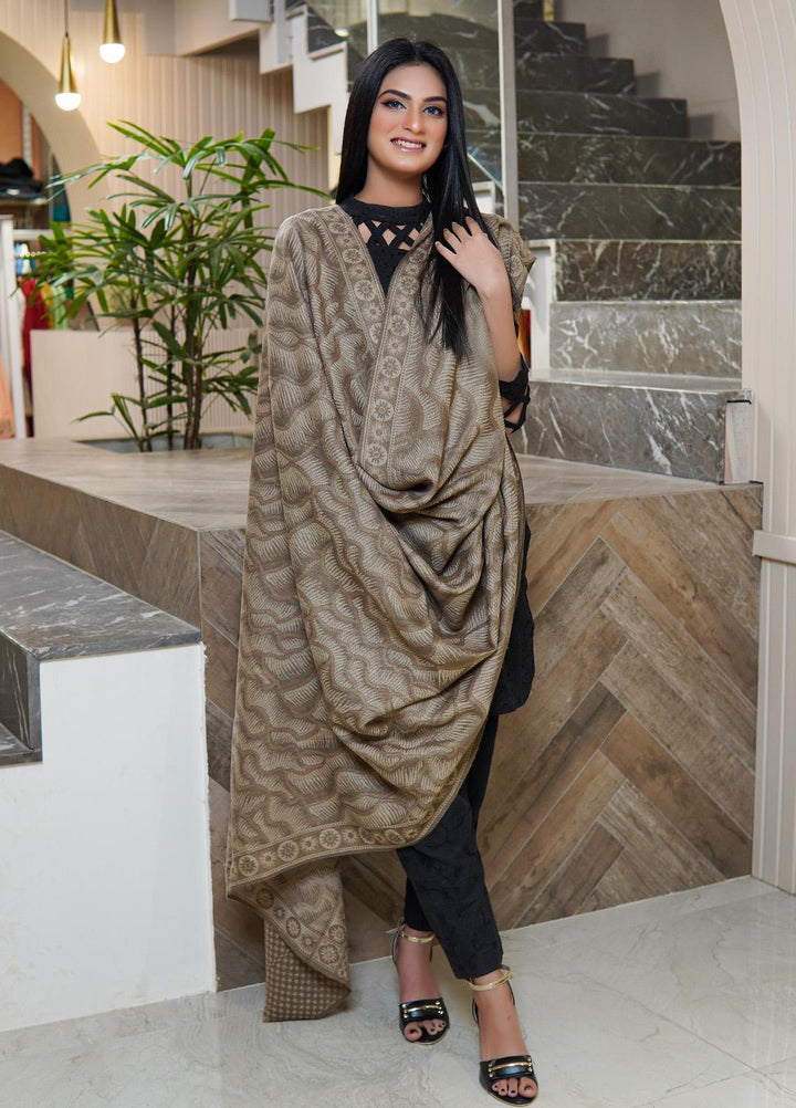 Sanaulla Exclusive Range  Pashmina  Shawls AKP-22 L Brown 03 - Pashmina Shawls