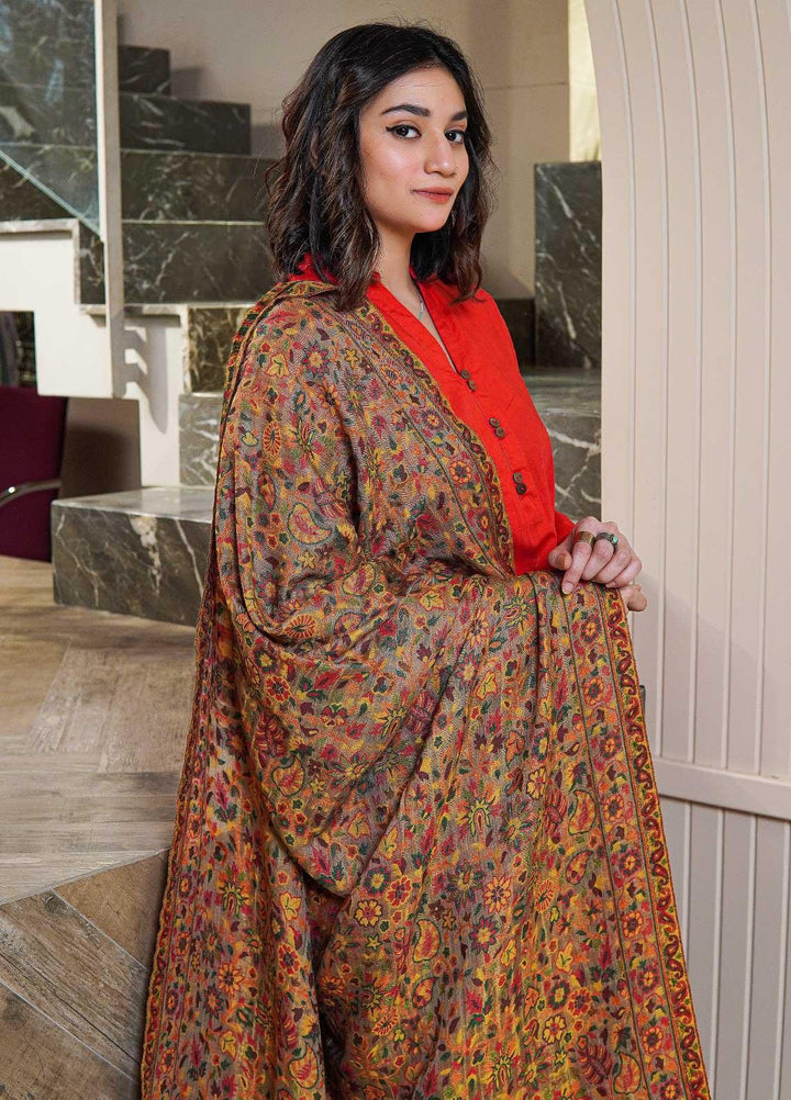 Sanaulla Exclusive Range  Pashmina  Shawls MAMA-02 Brown-3 - Pashmina Shawls