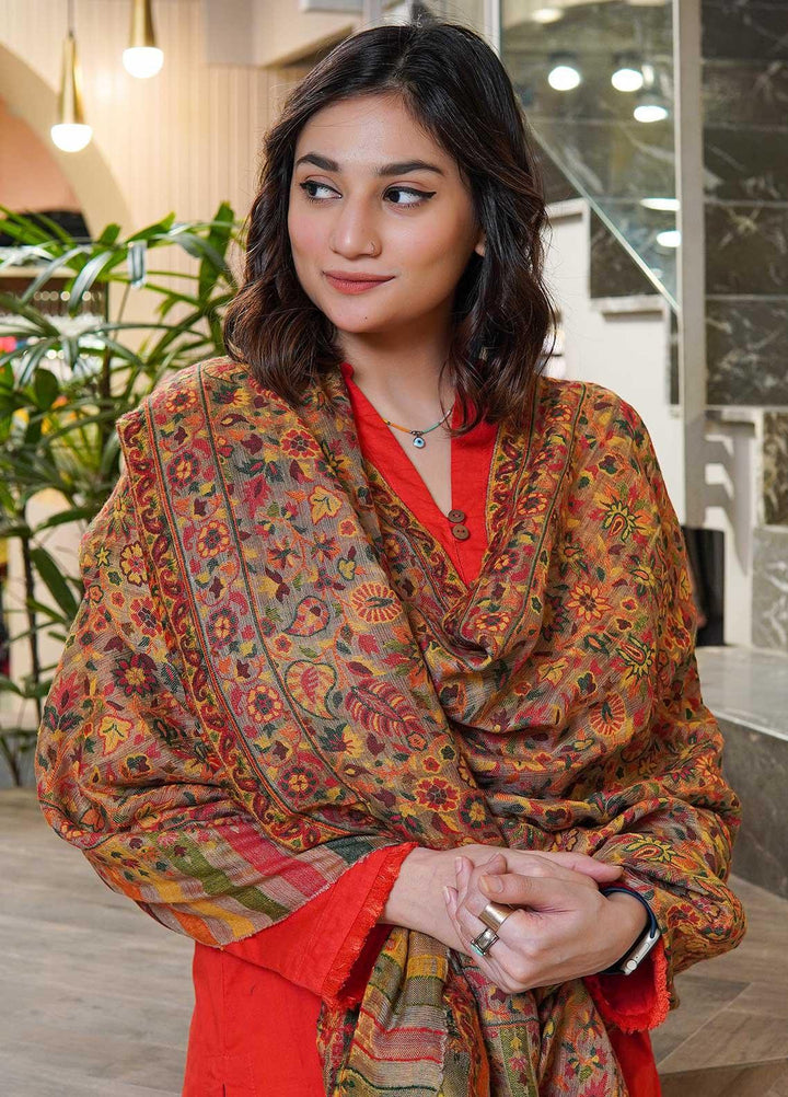 Sanaulla Exclusive Range  Pashmina  Shawls MAMA-02 Brown-3 - Pashmina Shawls