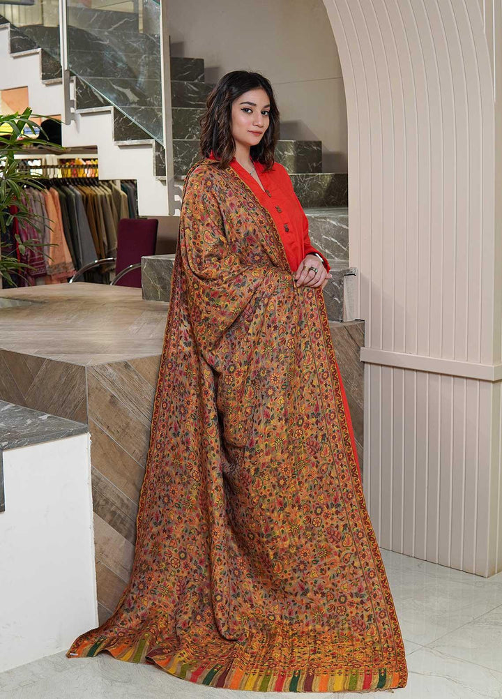 Sanaulla Exclusive Range  Pashmina  Shawls MAMA-02 Brown-3 - Pashmina Shawls