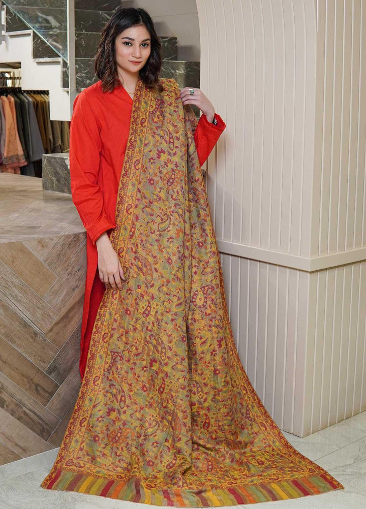 Sanaulla Exclusive Range  Pashmina  Shawls MAMA-02 Brown-4 - Pashmina Shawls