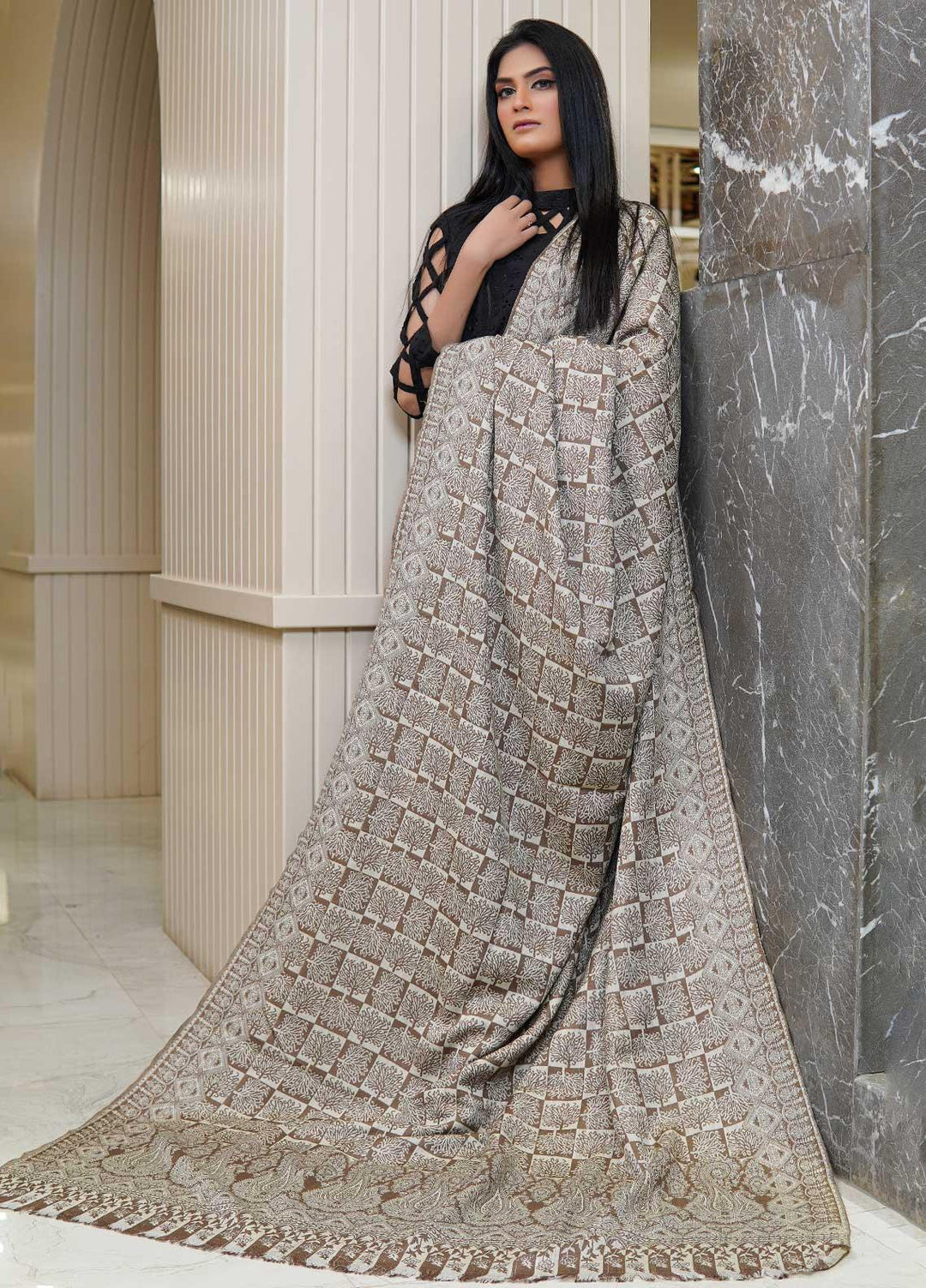 Sanaulla Exclusive Range  Pashmina  Shawls AKP-22 Beige 09 - Pashmina Shawls