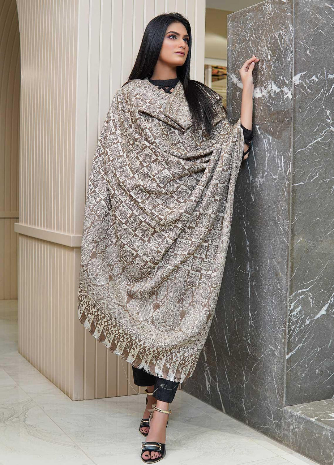 Sanaulla Exclusive Range  Pashmina  Shawls AKP-22 Beige 09 - Pashmina Shawls