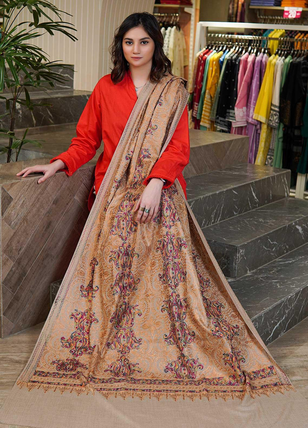 Sanaulla Exclusive Range  Pashmina  Shawls MAMA-22 Fawn-1 - Pashmina Shawls