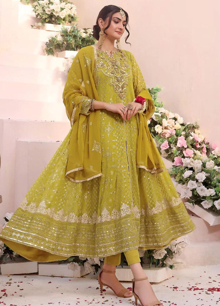 Al Harir Apparel Pret Embroidered Chiffon 3 Piece Suit Dhaani