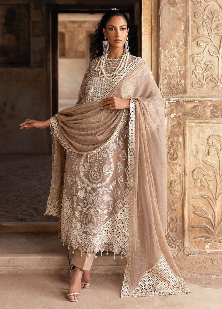 Sardinia Embroidered Chiffon Suits Unstitched 3 Piece SRD25CF D-1103 Divani - Formals Collection