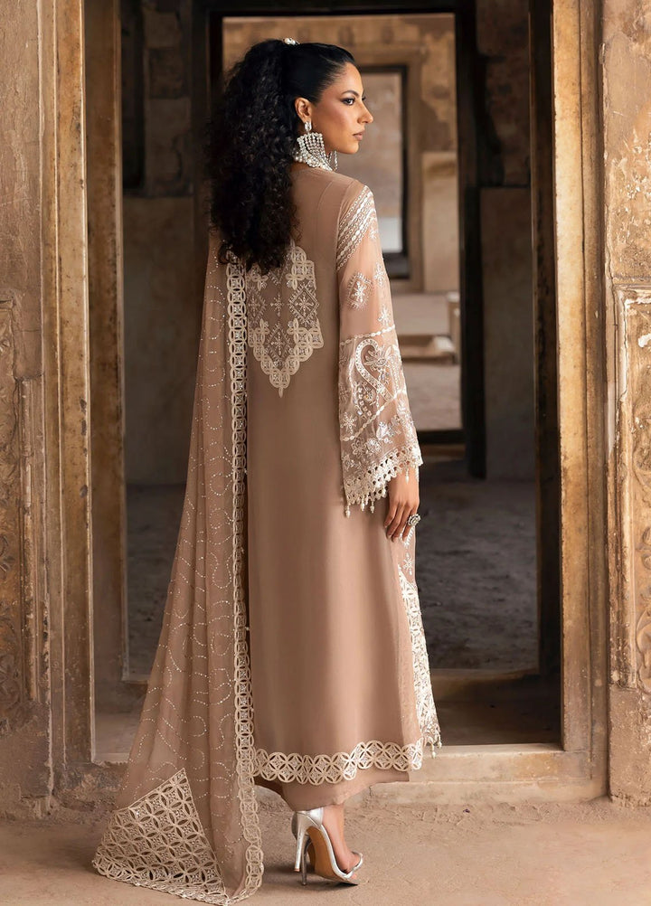 Sardinia Embroidered Chiffon Suits Unstitched 3 Piece SRD25CF D-1103 Divani - Formals Collection