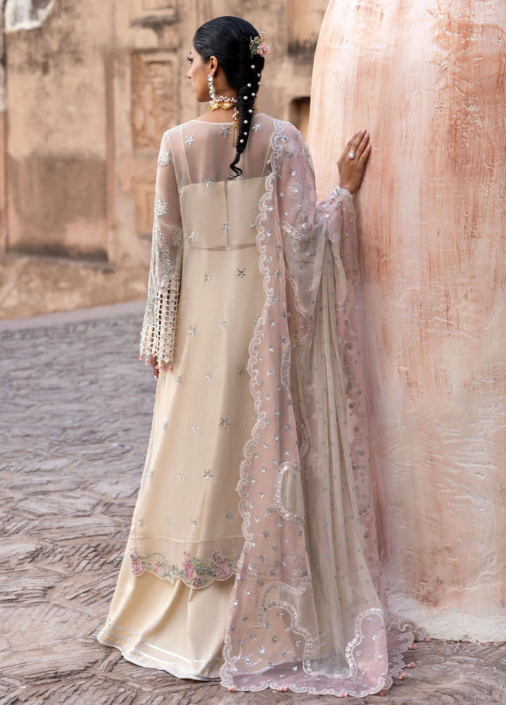 Sardinia Embroidered Chiffon Suits Unstitched 3 Piece SRD25CF D-1106 Zohra - Formals Collection