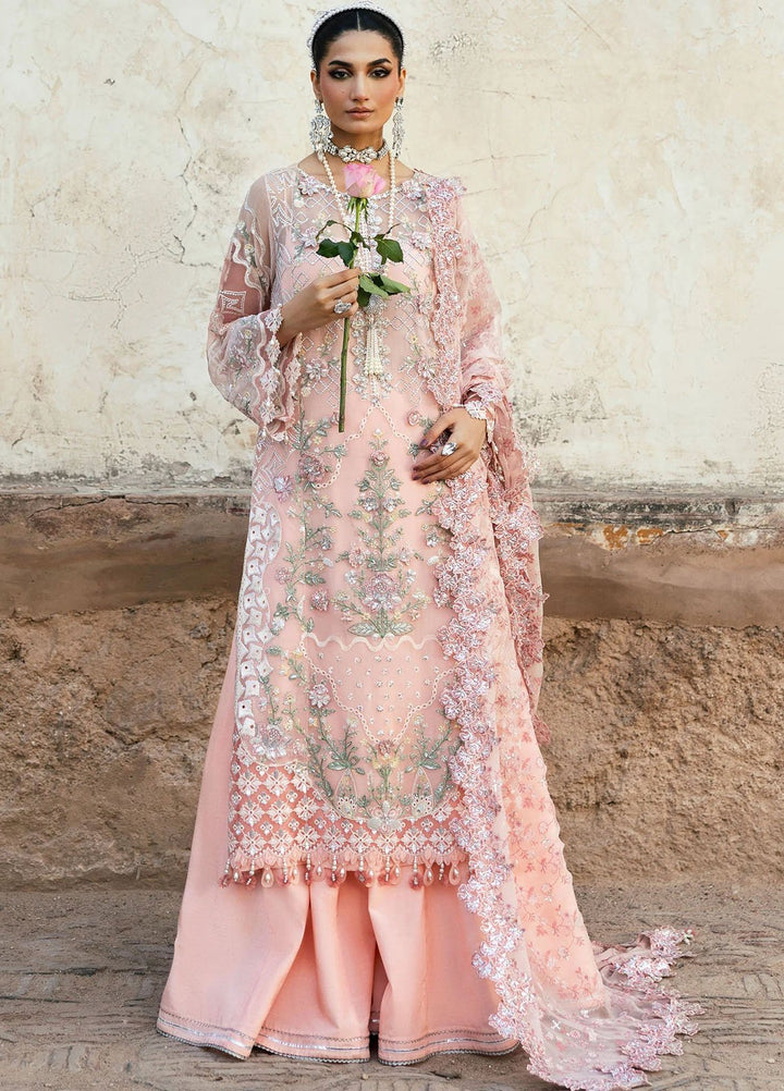 Sardinia Embroidered Chiffon Suits Unstitched 3 Piece SRD25CF D-1108 Sassi - Formals Collection