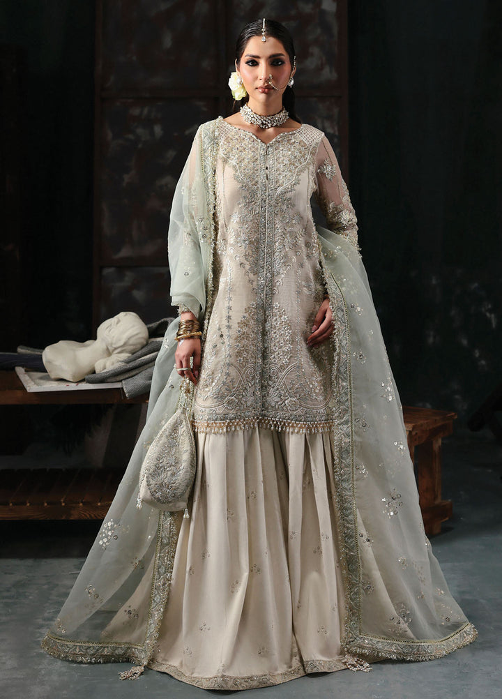 Sardinia Embroidered Organza Suits Unstitched 3 Piece D-1202 Kara - Formals Collection