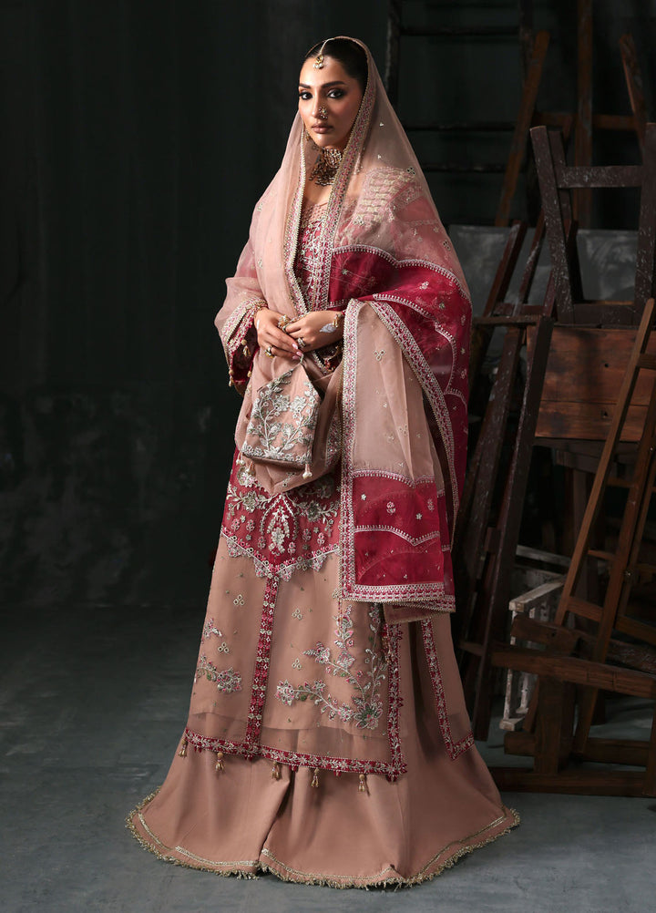 Sardinia Embroidered Organza Suits Unstitched 3 Piece D-1205 Elara - Formals Collection