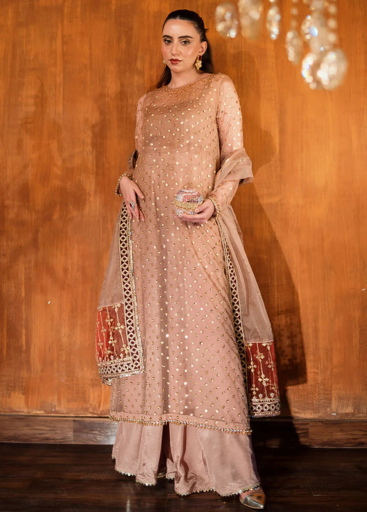 Savoir by Sahane Embroidered Organza Suits Unstitched 3 Piece CT-140001 Lirio - Luxury Collection