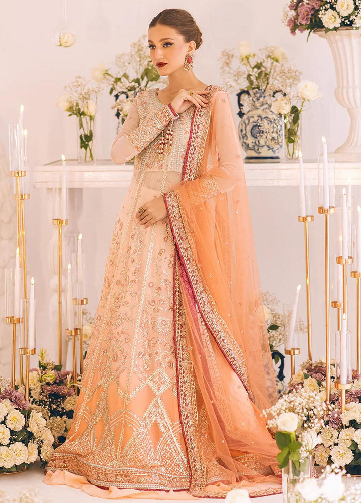 Sawariya By Roheenaz Embroidered Chiffon Suits Unstitched 4 Piece RNZ23S Runch230101 - Luxury Collection