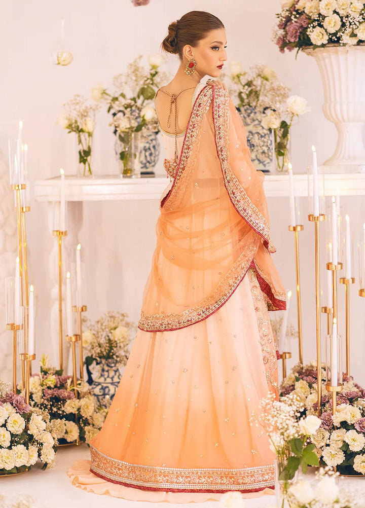 Sawariya By Roheenaz Embroidered Chiffon Suits Unstitched 4 Piece RNZ23S Runch230101 - Luxury Collection