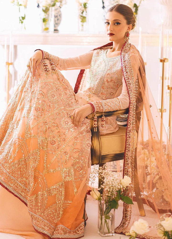 Sawariya By Roheenaz Embroidered Chiffon Suits Unstitched 4 Piece RNZ23S Runch230101 - Luxury Collection