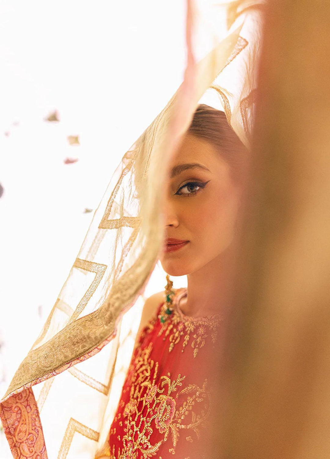 Sawariya By Roheenaz Embroidered Chiffon Suits Unstitched 4 Piece RNZ23S Runch230103 - Luxury Collection