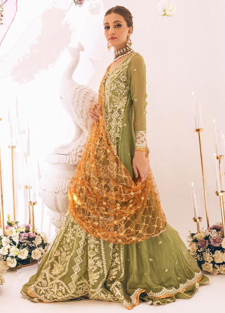 Sawariya By Roheenaz Embroidered Chiffon Suits Unstitched 4 Piece RNZ23S Runch230105 - Luxury Collection