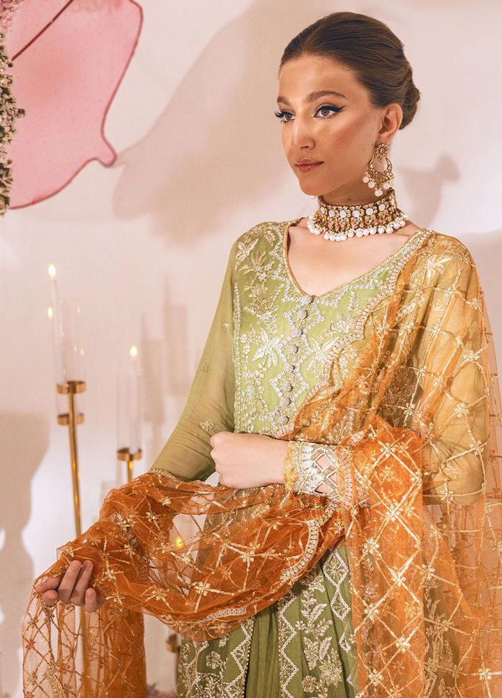 Sawariya By Roheenaz Embroidered Chiffon Suits Unstitched 4 Piece RNZ23S Runch230105 - Luxury Collection