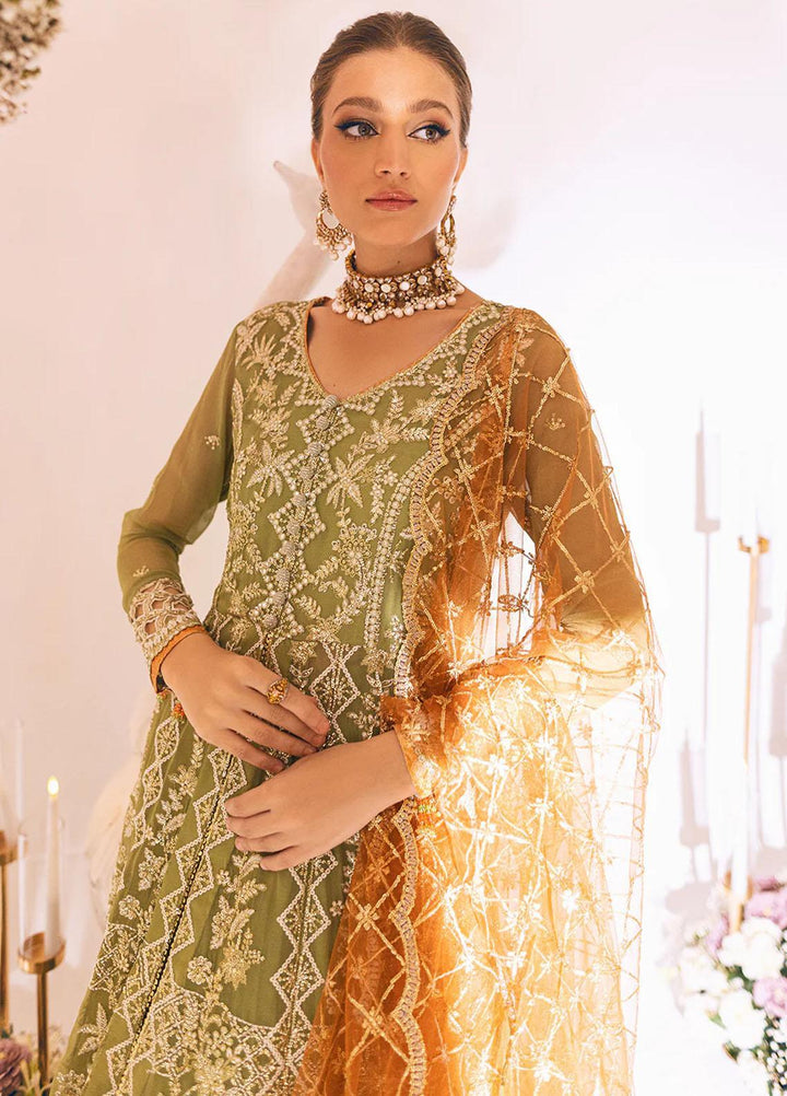 Sawariya By Roheenaz Embroidered Chiffon Suits Unstitched 4 Piece RNZ23S Runch230105 - Luxury Collection