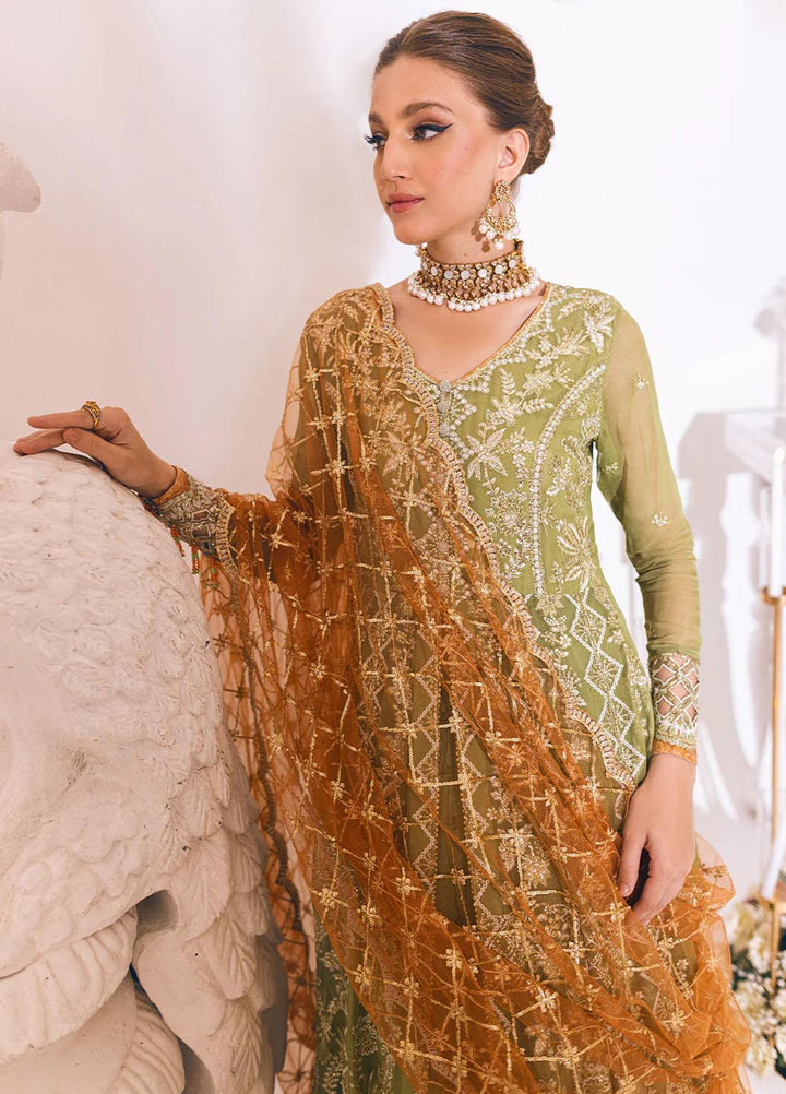 Sawariya By Roheenaz Embroidered Chiffon Suits Unstitched 4 Piece RNZ23S Runch230105 - Luxury Collection