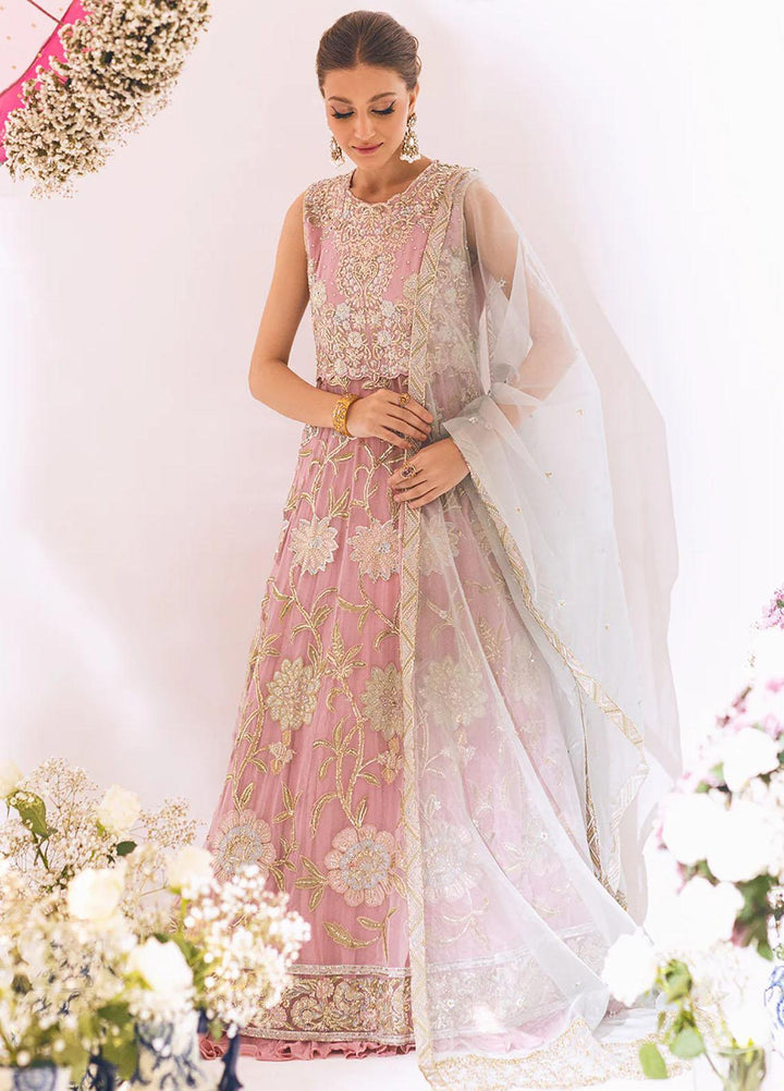 Sawariya By Roheenaz Embroidered Chiffon Suits Unstitched 4 Piece RNZ23S Runch230106 - Luxury Collection