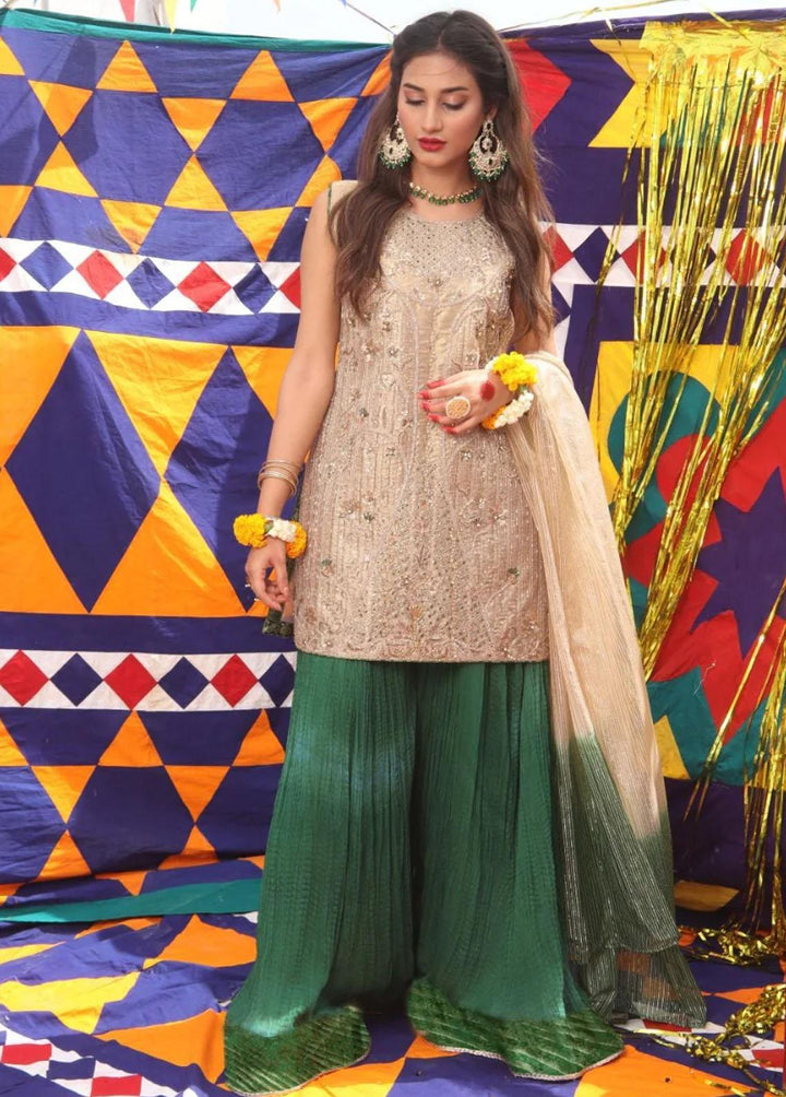 Senorita Organza Formal 3 Piece Suit for Women -  LDD-01891