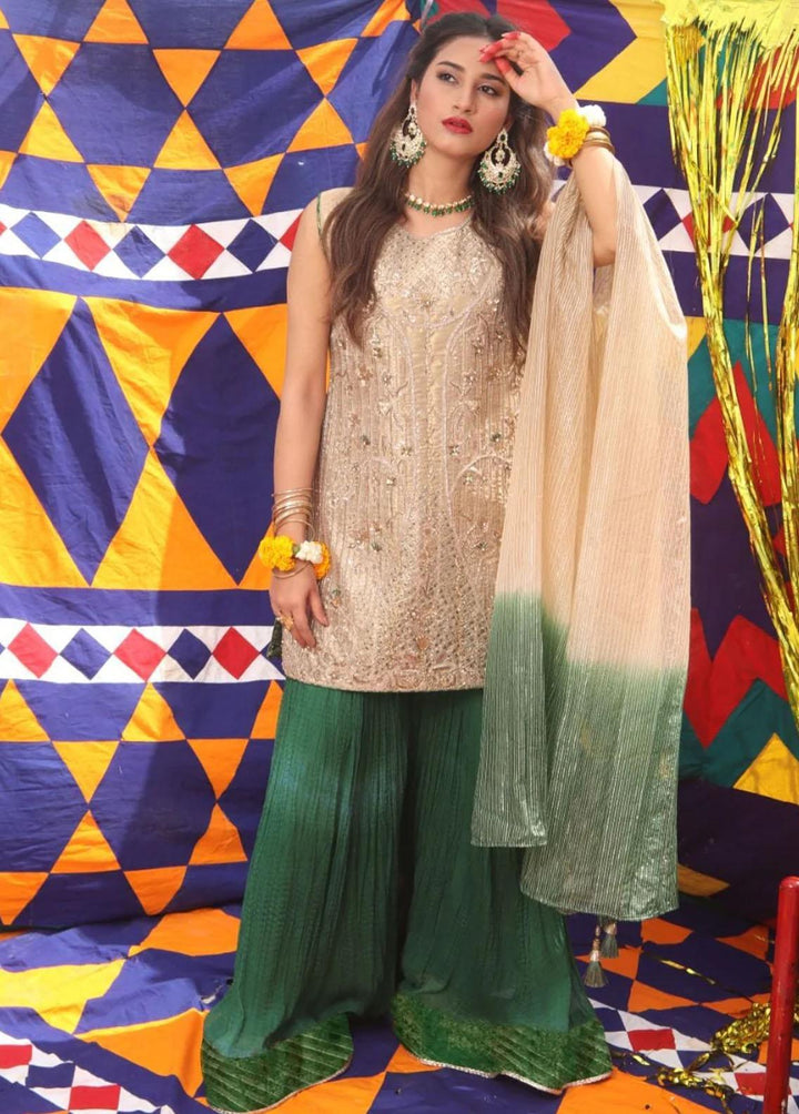 Senorita Organza Formal 3 Piece Suit for Women -  LDD-01891