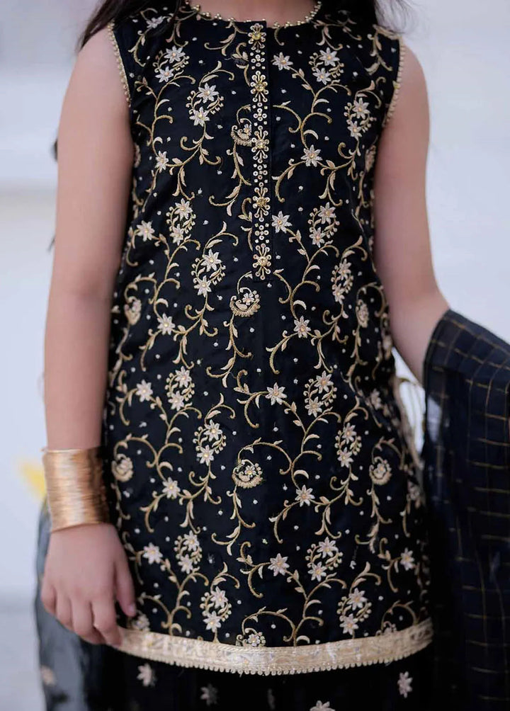 Senorita Organza Formal 3 Piece Suit for Girls -  KDD-02404