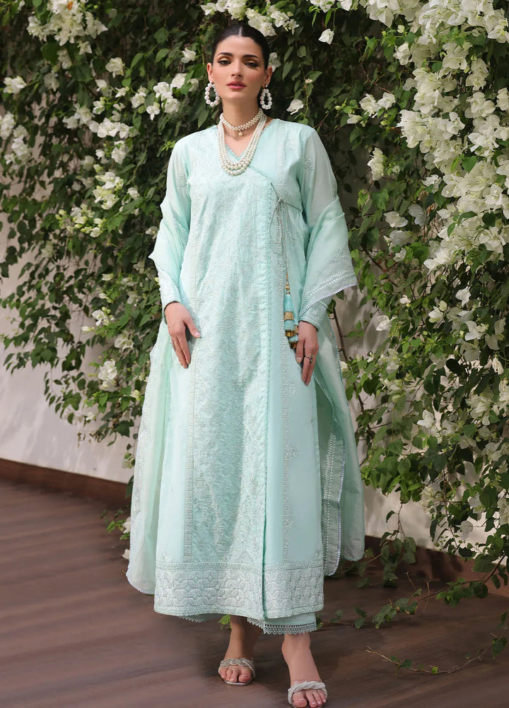 Sera By Sahane Embroidered Lawn Suits Unstitched 3 Piece SNE24SR CT-11002 Lobelia - Summer Collection