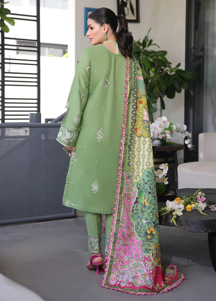 Sera By Sahane Embroidered Lawn Suits Unstitched 3 Piece SNE24SR CT-11004 Sage - Summer Collection