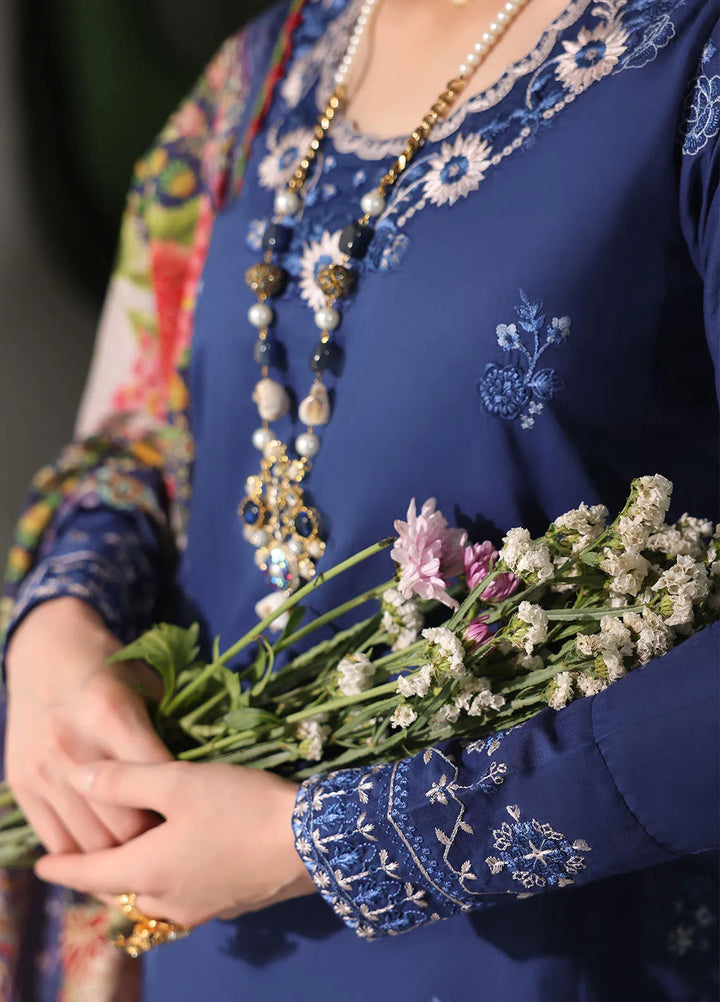 Sera By Sahane Embroidered Lawn Suits Unstitched 3 Piece SNE24SR CT-11008 Mystique - Summer Collection