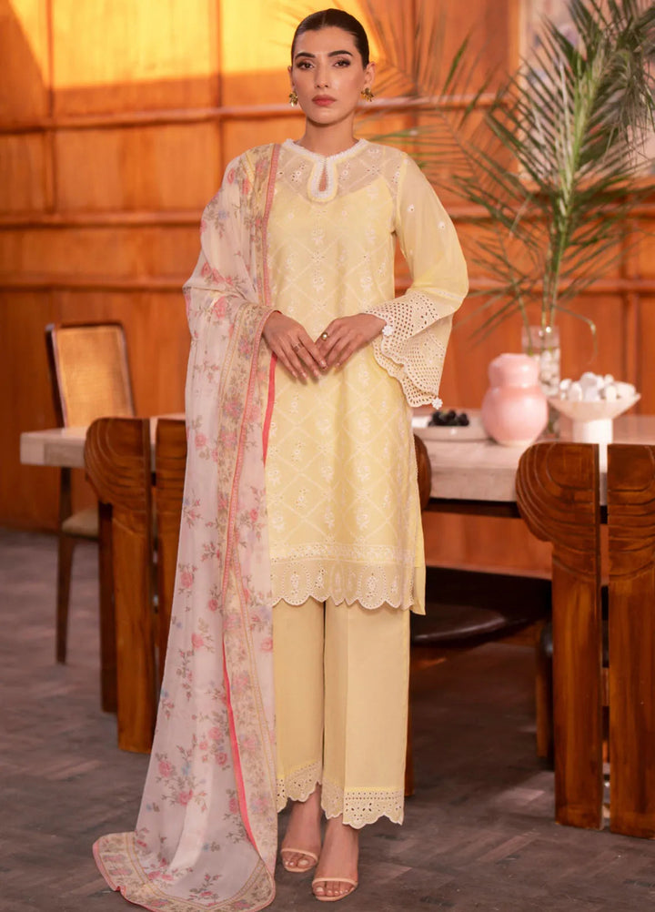 Seran Embroidered Lawn Suit Unstitched 3 Piece SRN24C D-02 Niran - Festive Collection