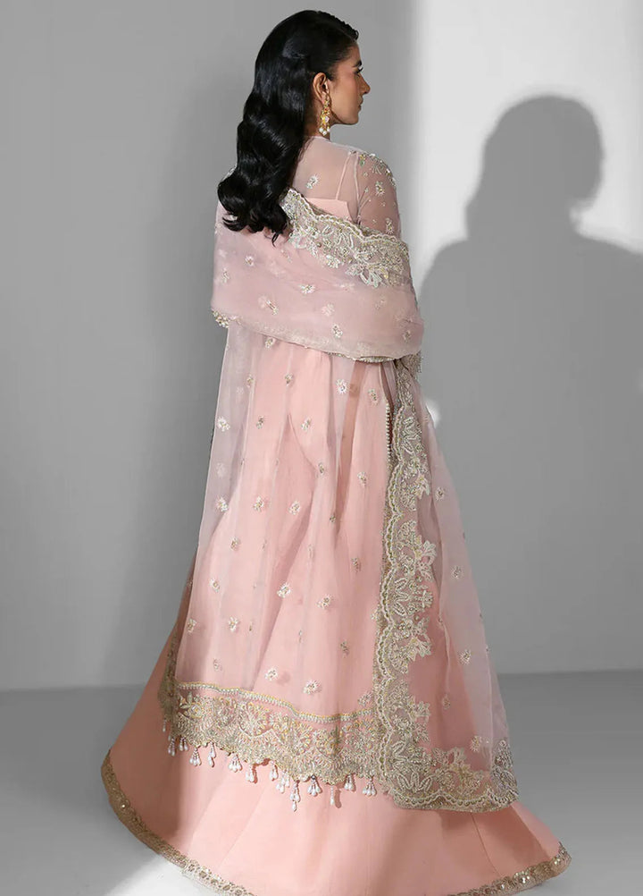 Seraphine by Zarposh Pret Embroidered Organza 3 Piece Suit Aura