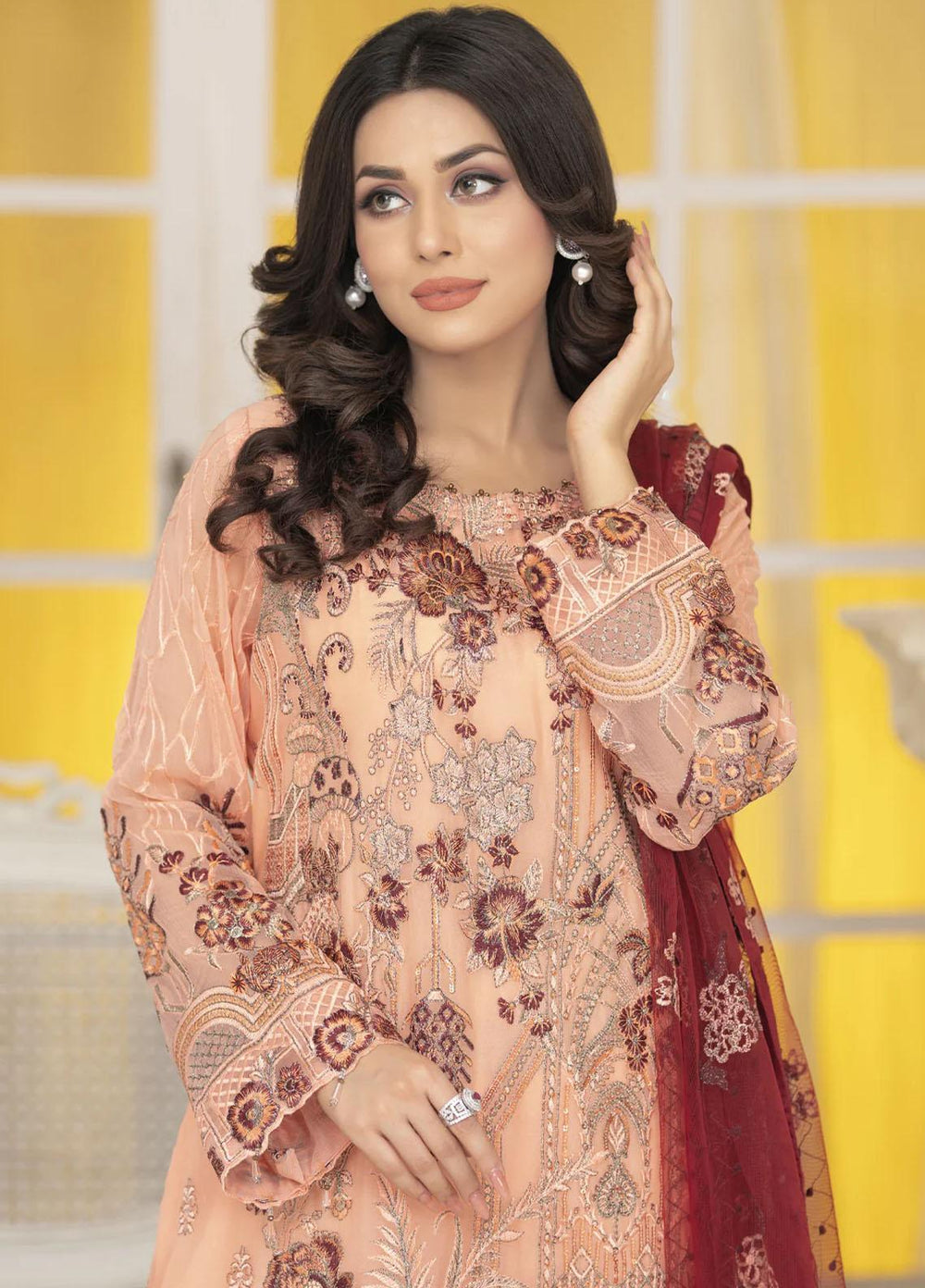 Shaadi Biyaah By Insiya Embroidered Chiffon Suits Unstitched 3 Piece INS23SB-S1 D4 - Wedding Collection