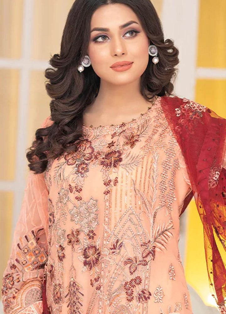 Shaadi Biyaah By Insiya Embroidered Chiffon Suits Unstitched 3 Piece INS23SB-S1 D4 - Wedding Collection