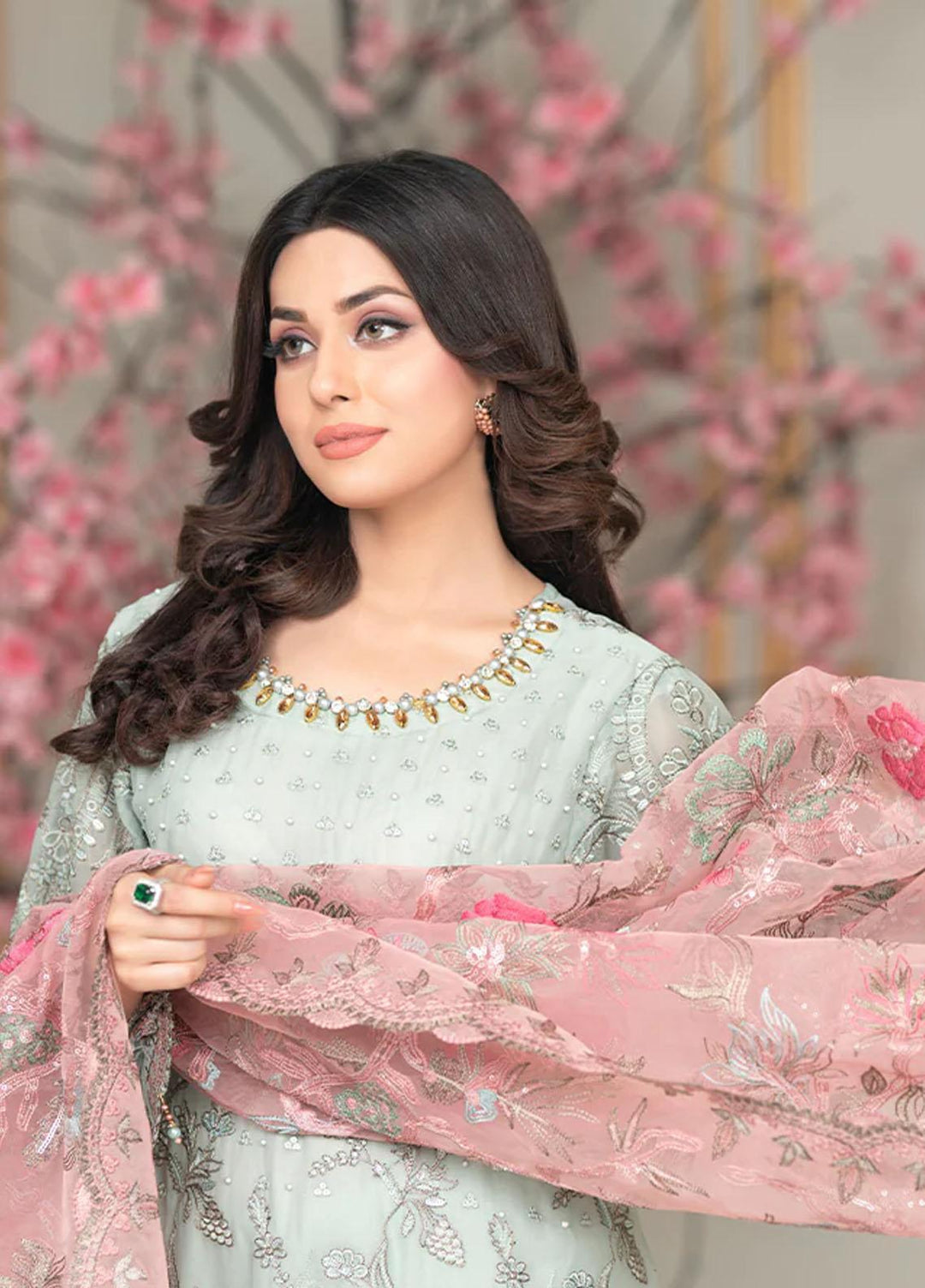 Shaadi Biyaah By Insiya Embroidered Organza Suits Unstitched 4 Piece INS23SB-S3 D4 - Wedding Collection