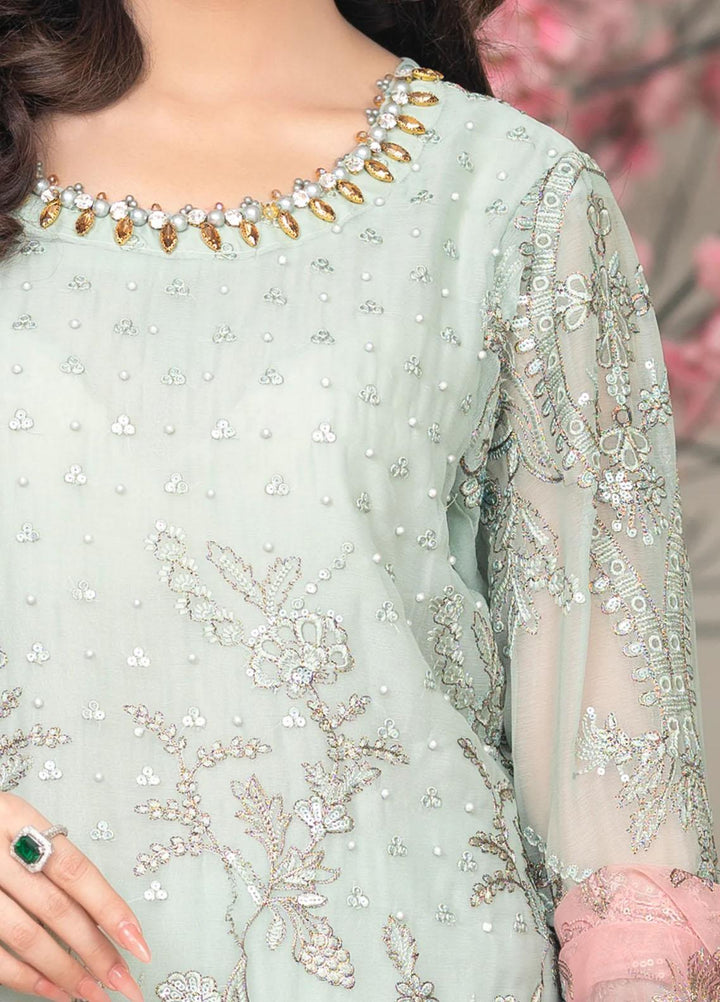 Shaadi Biyaah By Insiya Embroidered Organza Suits Unstitched 4 Piece INS23SB-S3 D4 - Wedding Collection
